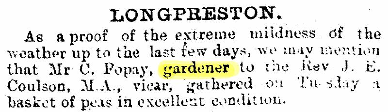 Business and Occupations   1884-11-01 a CHWS.jpg